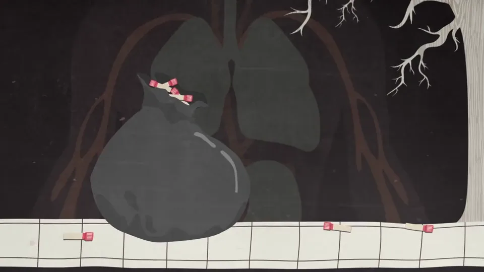 Lungs and physical impact