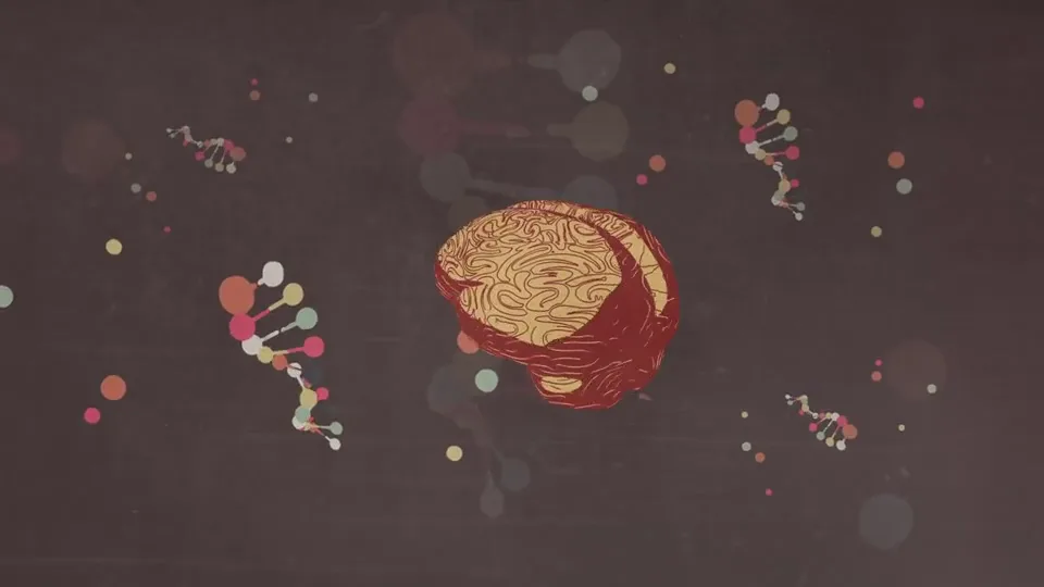 Brain and neurological impact
